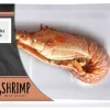 1 DEMI LANGOUSTE CRUE 220 - 260 G