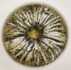 ANCHOIS MARINES A L'AIL 1KG