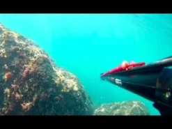 Arbalète chasse sous-marine MARLIN EVIL OPEN BEUCHAT