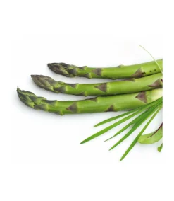 ASPERGES VERTES ENTIERES SACHET 500 GR MAGDA SURGELE