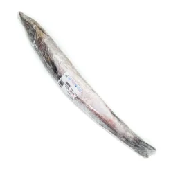 BARRACUDA ENTIER 1 A 2 KG
