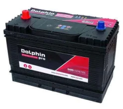 BATTERIES DOLPHIN PRO | CROSSEVEN