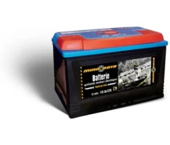 BATTERIES GAMME PRO A DECHARGE LENTE | MINN KOTA