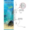 BDL FLUORO DAURADE TRAINARD X10