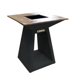 BRASERO QUADRO M CARBON+ PLAQUE CUISSON