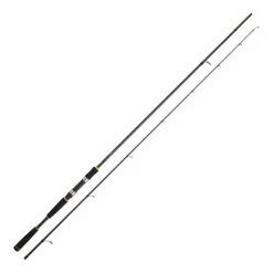 CANNE DAIWA LEGALIS SEABASS 240 12/42G
