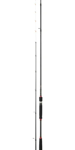 CANNE DAIWA LEGALIS TENYA 240 15/60G