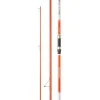 CANNE DAIWA SHORECAST SURF X 420 100/225G