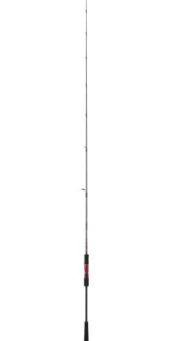 CANNE JIGGING DAIWA POWERMESH TAI 193 40/160G