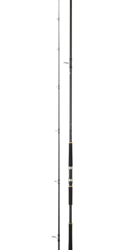 CANNE SHORE JIGGING DAIWA LEGALIS SJ
