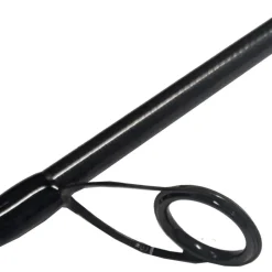 Canne spinning Caldia Seabass 229 10-35g DAIWA