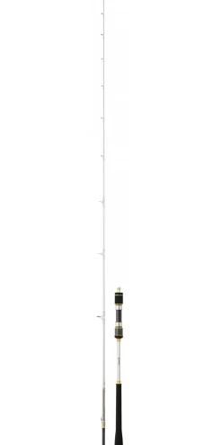 CANNE SPINNING DAIWA MEGAFORCE