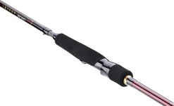 Canne spinning INFEET SEABASS | DAIWA