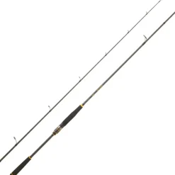 CANNE SPINNING LEGALIS SEABASS | DAIWA