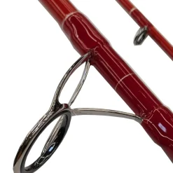 CANNE TENRYU SUPER MIX EVO 240 10/60G
