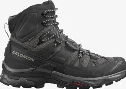 CHAUSSURES HOMME QUEST 4 GTX MAGNET SALOMON