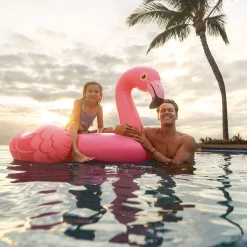 CHEVAUCHABLE FLAMANT ROSE PM INTEX