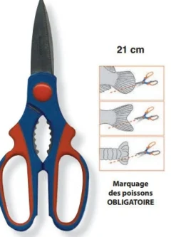 CISEAUX INOX COUPE-QUEUES FLASHMER 21CM