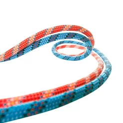 Corde d'escalade Cobra II Unicore DRY COVER Ø 8.6 mm 50 m BEAL