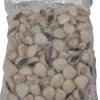 CYTHEREE PALOURDE ENTIERE CUITE 1KG