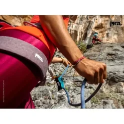 Descendeur Assureur Grigri® PETZL
