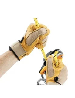 Descendeur RIG - PETZL