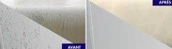 Détachant Moisissures - 1L