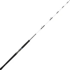 Ensemble BROUME DAIWA SALTIST 175 100LBS