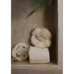 EPONGE LOOFA - TADE