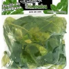 FEUILLE DE COMBAVA 100G