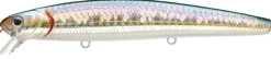 FLASWMINNOW 110 SP|LUCKY CRAFT