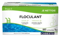 FLOCULANT CARTOUCHE 1KG