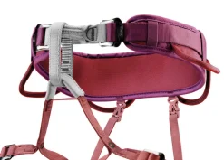 Harnais baudrier d'escalade et d'alpinisme CORAX PETZL