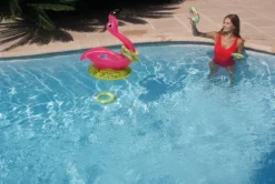 JEU DE LANCÉ FLAMANT ROSE KERLIS