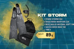 Kit Palmes/masque/tuba de chasse sous-marine STORM C4