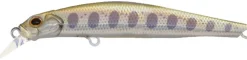 LEURRE COULANT JACKSON ARTIST FR 70