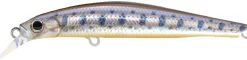 LEURRE COULANT JACKSON ARTIST FR 70