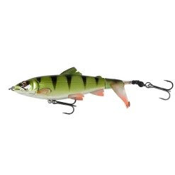 LEURRE SAVAGEAR 3D SMASHTAIL 100 17G