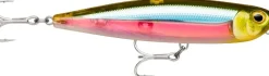 Leurres de Surface Xtrem Pencil 127 | RAPALA