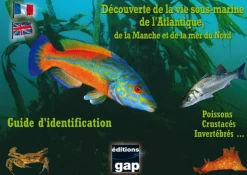 LIVRE DECOUVERTE DES ESPECES DE L'ATLANTIQUE 8 PLAQUETTES TURTLE PROD