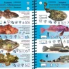 LIVRE PICTOLIFE ATLANTIQUE ET MANCHE TURTLE PROD