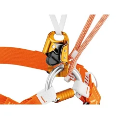 LONGE DUAL CAVING