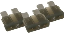 LOT DE 3 FUSIBLES ENFICHABLES 2A - EUROMARINE