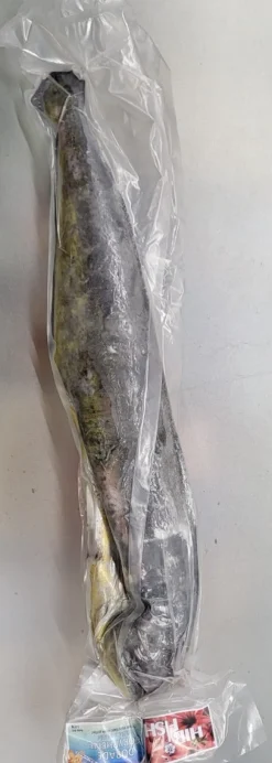 MAHI MAHI ENTIER 1.8 KG Hibifish