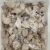MINI SEICHES 800G 60 PIECES / +