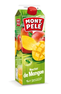 NECTAR DE MANGUE 1L