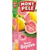 NECTAR GOYAVE 1L