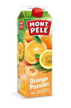 NECTAR ORANGE PASSION 1L