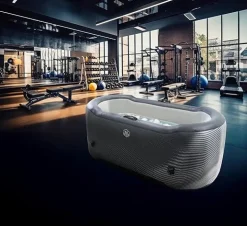 NETSPA ICE JARVI