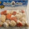 NOIX ST JACQUES ET CORAIL GROENLAND 250G 20/40P